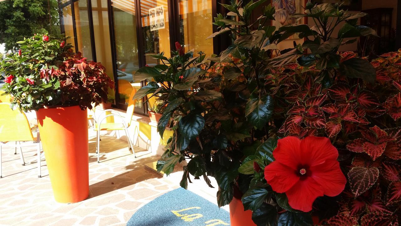 Hotel La Falena 切尔维亚 外观 照片